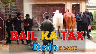 | Bail Ka tax Dedo Prank | By Nadir Ali & Team in | P4 Pakao | 2021