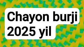 CHAYON burji 2025 yilyulduzlar# ruhiyat#yangi yil#yangi oʻyin#bu juda qiziq#goroskop