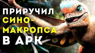 ARK SURVIVAL EVOLVED – ПРИРУЧИЛ СИНОМАКРОПСА LOST ISLAND ВЫЖИВАНИЕ x50 #4