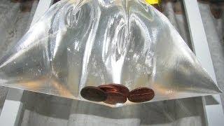 Get Rid of Houseflies - Pennies in Bag