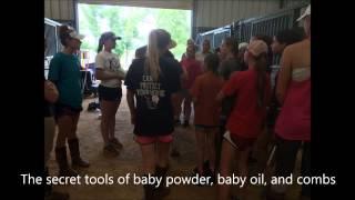 Young Rider Area V Camp June 2015