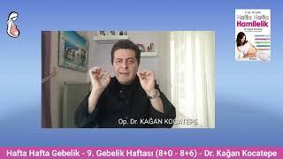 Gebelikte 9. hafta (8+0-8+6). Anne adayında ve bebekte ortaya çıkan değişiklikler ve kan testleri