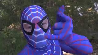 Bluespidey in forest.