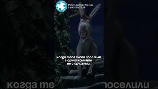 Работа вахтой в Москве 8-800-600-73-39