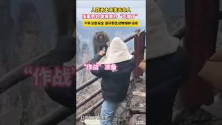张家界的泼猴意外“吃瘪了”，人族勇士上大分了 #中国 #vlog #china #熱門 #vloginchina #animals #shorts