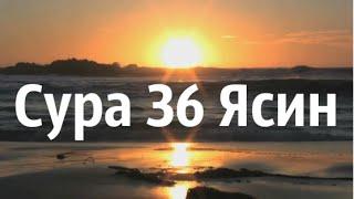 Сура 36 «Ясин». Зияд Пател