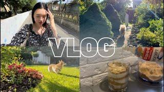 VLOG | выходные на даче, самый долгий маникюр, готовим вкусный десерт