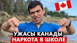 Ужасы Канады: наркотики в школе, мыши и вши