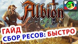 Albion Online ГАЙД как БЫСТРО прокачать СБОР ресурсов @ sandbox MMORPG