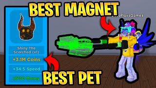 I GOT THE BEST PET AND MAGNET IN MAGNET SIMULATOR UPDATE 25