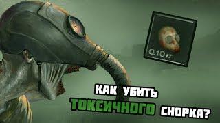 КАК УБИТЬ ТОКСИЧНОГО СНОРКА? | STALCRAFT ОФТ