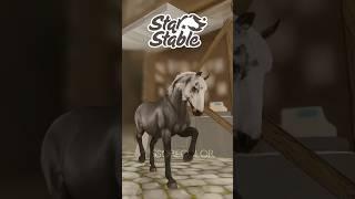 What's your fav ? #starstable #starstableonline #ssorecolor #sso #ssoedit #ssotrend #ssorecolour