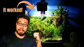 HOW TO: Zero Water Change Ecosystem Aquarium 
