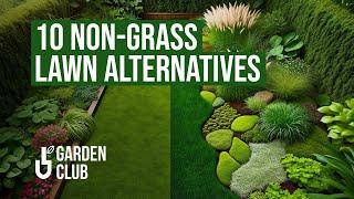 Non-Grass Lawns: 10 Easy, Low-Maintenance Lawn Alternatives