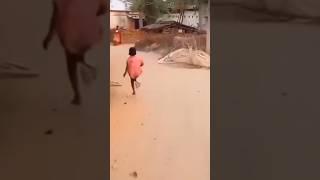 agn rider #funny #comedy #video 