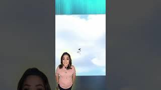 A Pterodactyl Sighting