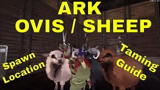 ARK Ovis (Sheep) taming guide - How to find a Ovis/Sheep - SHH.. ITS A SECRET