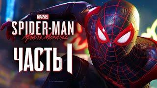 Прохождение Spider Man: Miles Morales ▶ Часть 1