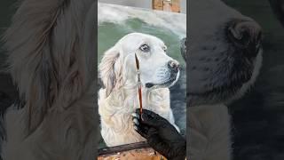 Tips for painting light fur!  #petportrait #petportraitartist #arttips #artist  #goldenretriever