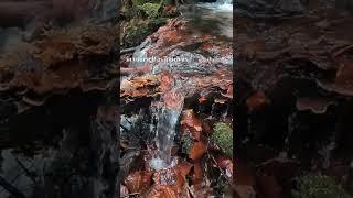 To my son [Quotes, Poetry, Spokenword, Irish Narration]