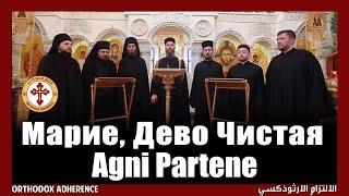 Russian Byzantine Orthodox: Agni Parthene (Αγνή Παρθένε) | Марие, Дево Чистая (English Subtitles)