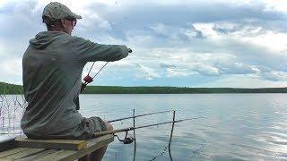 Рыбалка с ночевкой! Гроза, Дождь. Ловля на поплавок и рыбалка на живца. Летняя рыбалка 2020