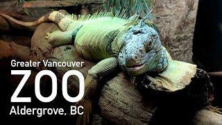 Greater Vancouver Zoo, Aldergrove