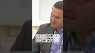 ВВП ПРО «СИНИЙ КИТ»