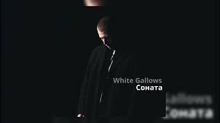 White Gallows - Соната (премьера трека) | 2024