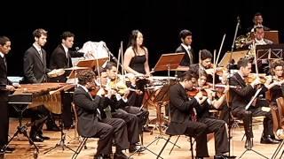 FIV - Festival Internacional de Violão: Concerto Duo Siqueira Lima