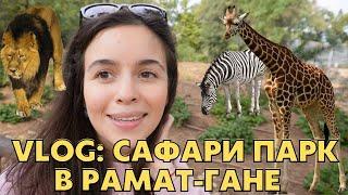 САФАРИ-ПАРК В ИЗРАИЛЕ/ ЗООПАРК В ГОРОДЕ РАМАТ-ГАН/ ВОТ ЭТО ДА! / ВОСТОРГ ОТ ЖИВОТНЫХ