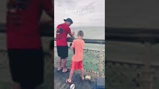 Catching Remora off the pier!