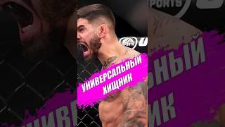 Илиа Топурия универсальный хищник  #ufc #mma #рекомендации #бокс #fighter #iliatopuria #спорт