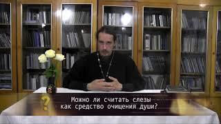 Можно ли считать слёзы средством очищения души? Православие. Просто о сложном