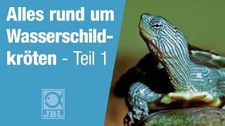 JBL TV #61 Artgerechte Haltung von Wasserschildkröten Teil 1 - Einrichtung und Beleuchtung