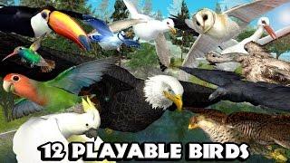 #Ultimate #Bird #Simulator׃ By Gluten Free games -  Game Trailer for iOS and Android