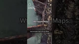 Apple Maps be like