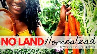 How to START an Urban Homestead WITHOUT Land| In a Small Space, City, Rental w/ little MONEY | Ep. 4