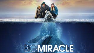 Big Miracle 2012 Film | John Krasinski, Drew Barrymore, Ted Danson | Review