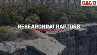 Researching Raptors
