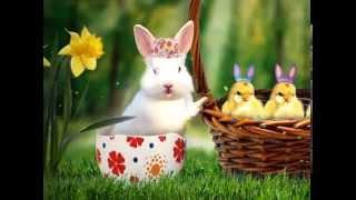 Frohe Ostern !!!