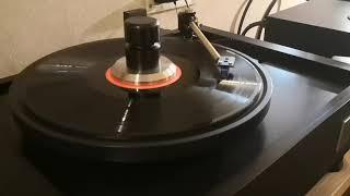 MF Audio | Rockport, Lamm