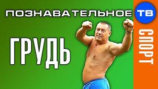 Разминка для позвоночника 3. ГРУДЬ (Герман Тюхтин)