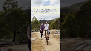 The best dog-friendly walks and hikes in Victoria