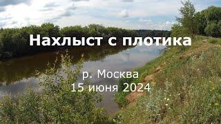 Нахлыст с плотика 3 | Река Москва | 15 июня 2024