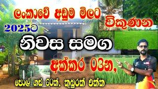 නිවස සමගින් අක්කර 3ක්‌ / 2025housesale / house for sale in srilanka / Anuradapura / Land sale /