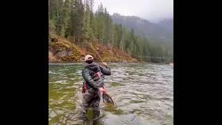We FINALLY Found The Fly that Caught This!