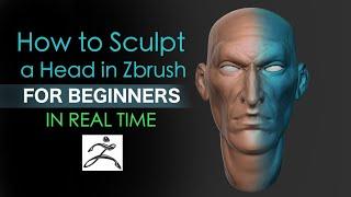 How to Sculpt in Zbrush for Beginners [ REAL TIME Tutorial ]