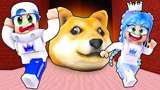 Roblox Doge Head Escape! Finding All The Lost Kittens