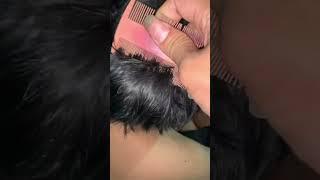 #lice